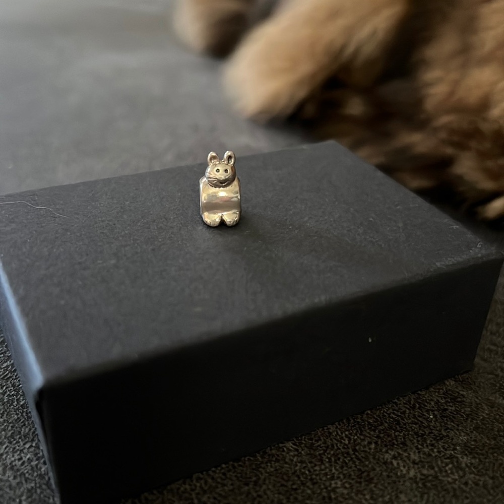 Pandora kitty charm